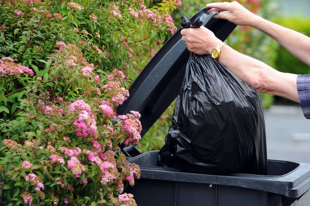 Residents in uproar as Lewisham Council ‘considers emptying black bins every three weeks’